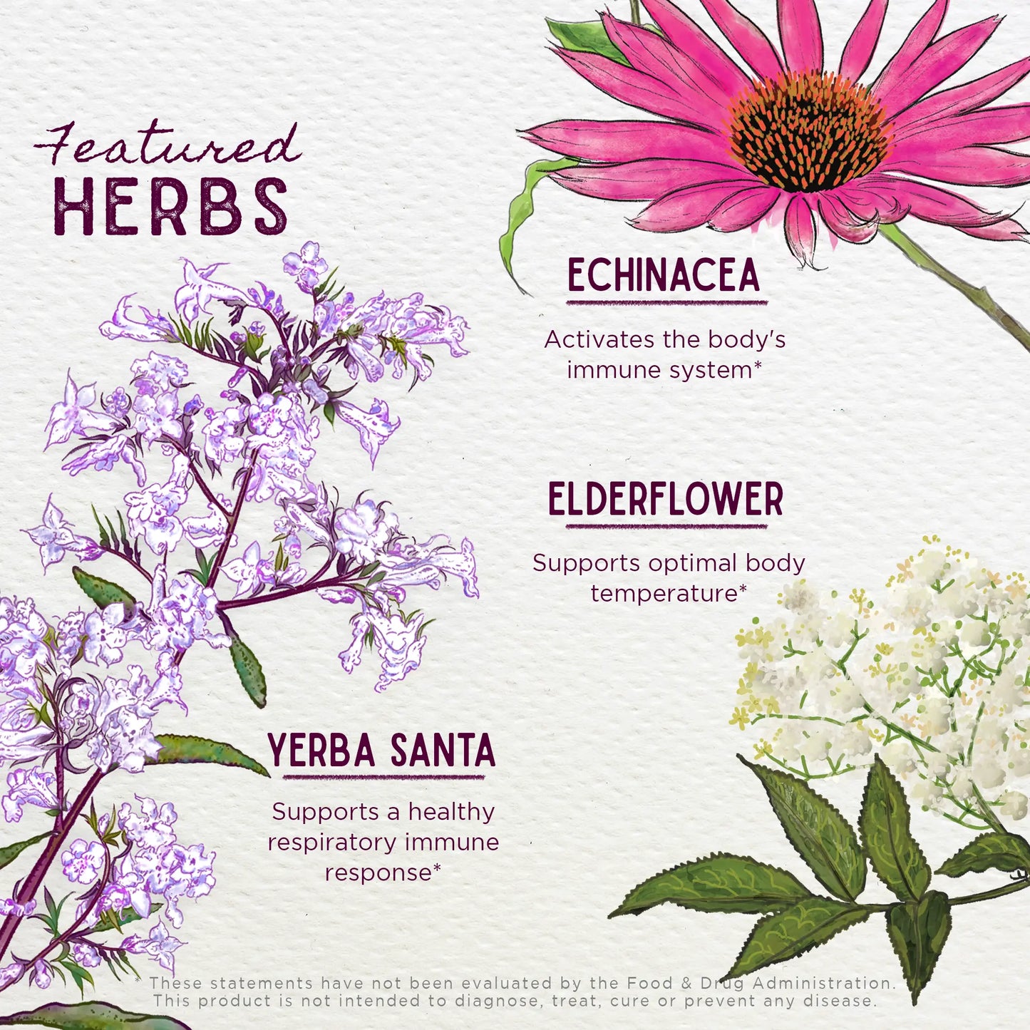 Congestion Rescue Immune Support for Pregnancy WishGarden Herbs