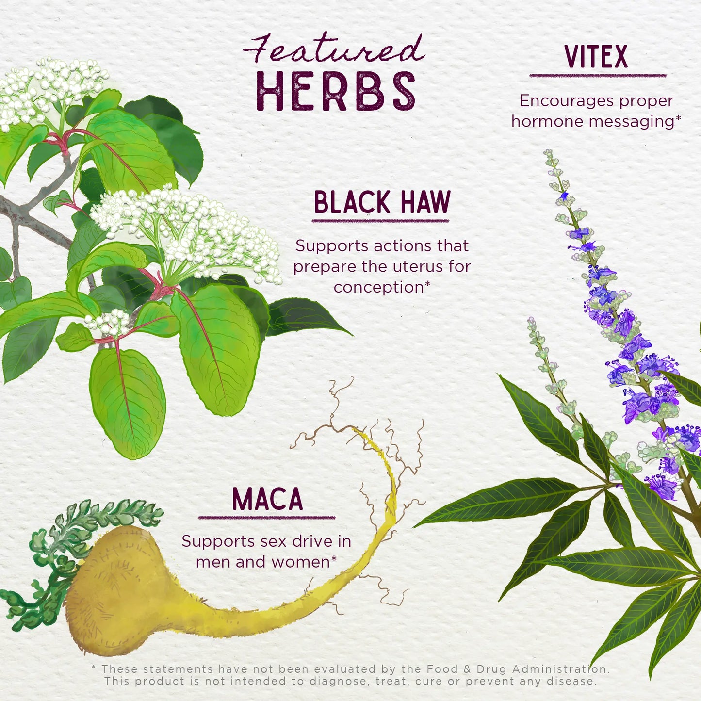 Fertility Prep Conception Support WishGarden Herbs