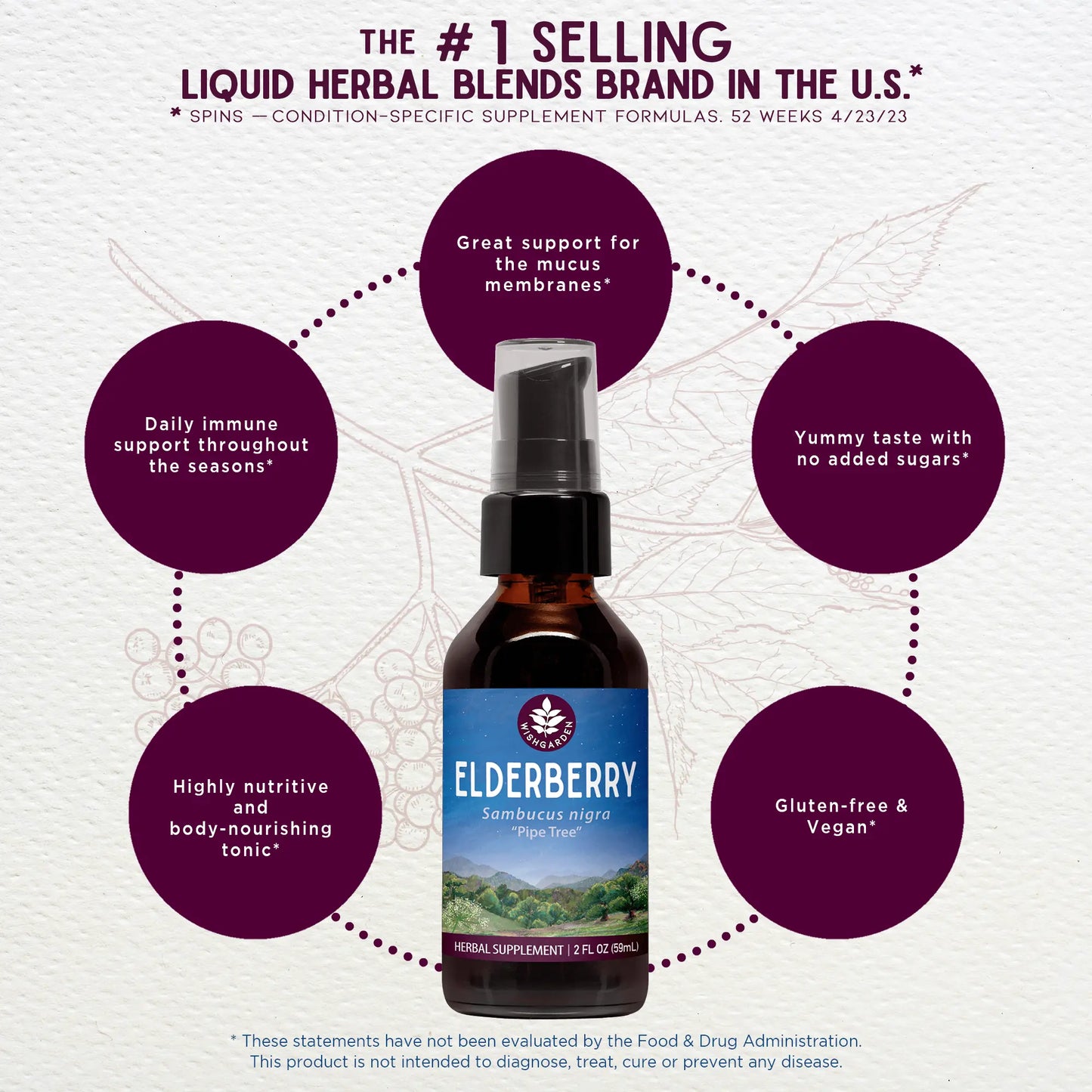 Elderberry WishGarden Herbs