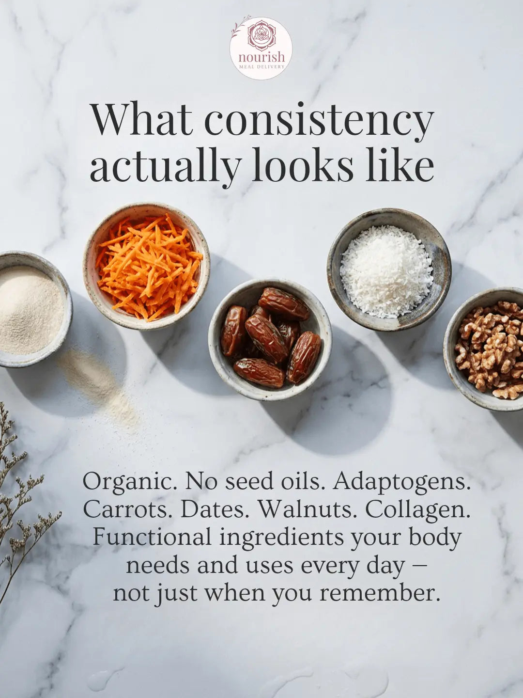 Nourish Flow™ Program