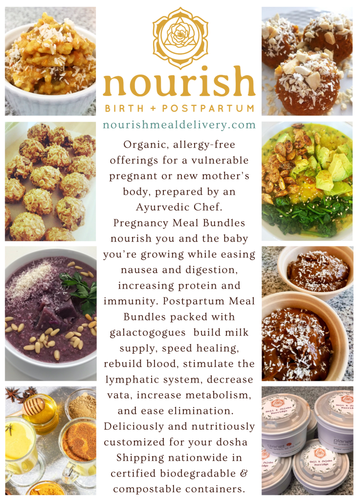 http://nourishmealdelivery.com/wp-content/uploads/2023/04/Nourish-Meal-Delivery-Flyer-732x1024.png