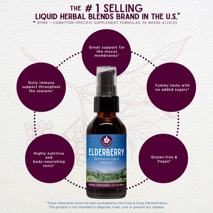 Elderberry WishGarden Herbs