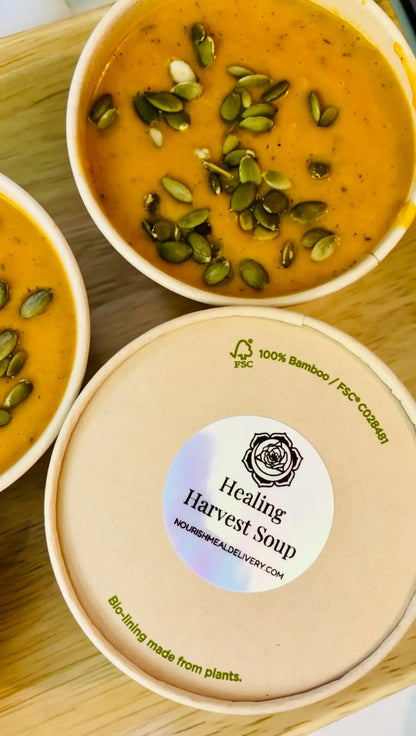 Healing Harvest Soup