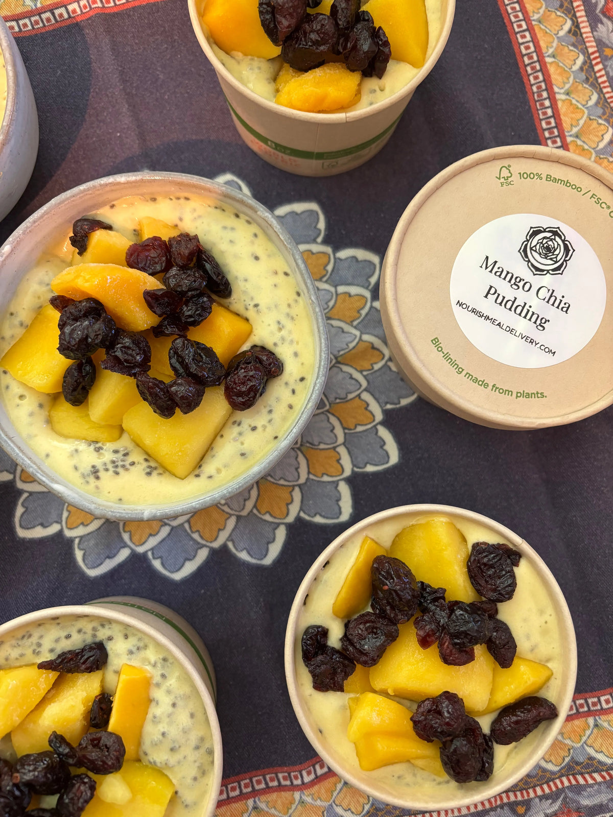 Mango Chia Pudding